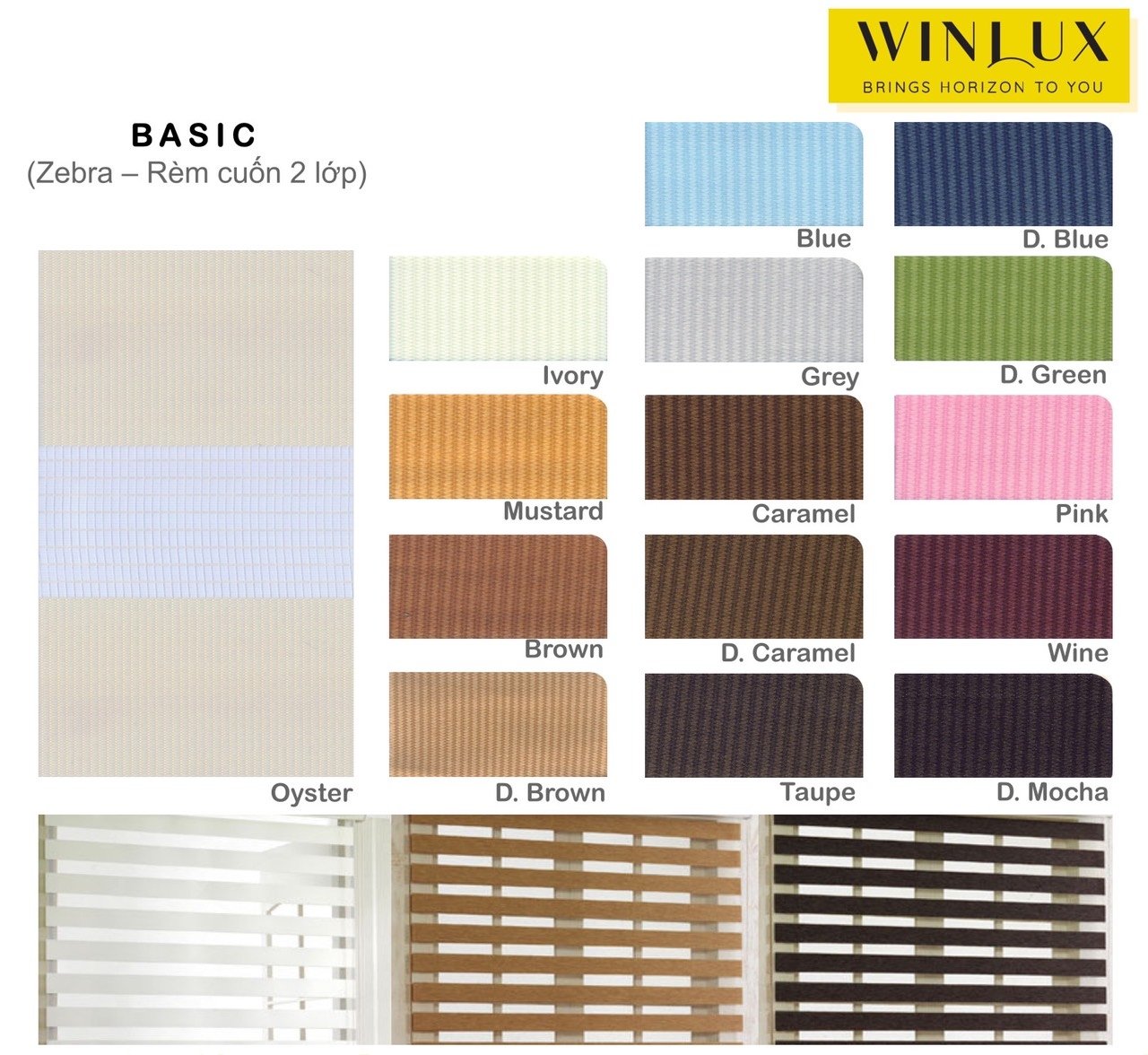 basic-zebra-rem-cuon-2-lop basic-zebra-rem-cuon-2-lop